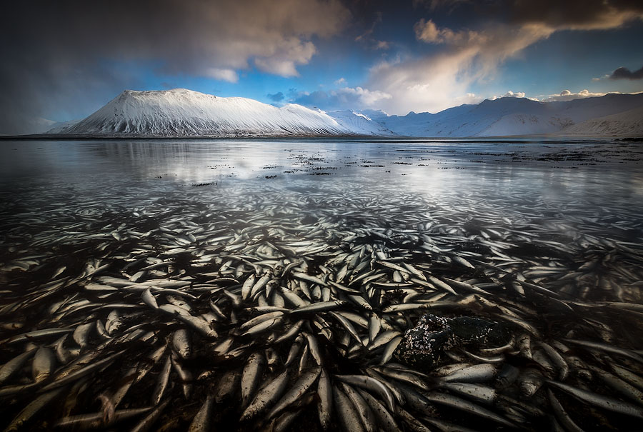 'Watery Grave', Grundarfjörður, February 2013