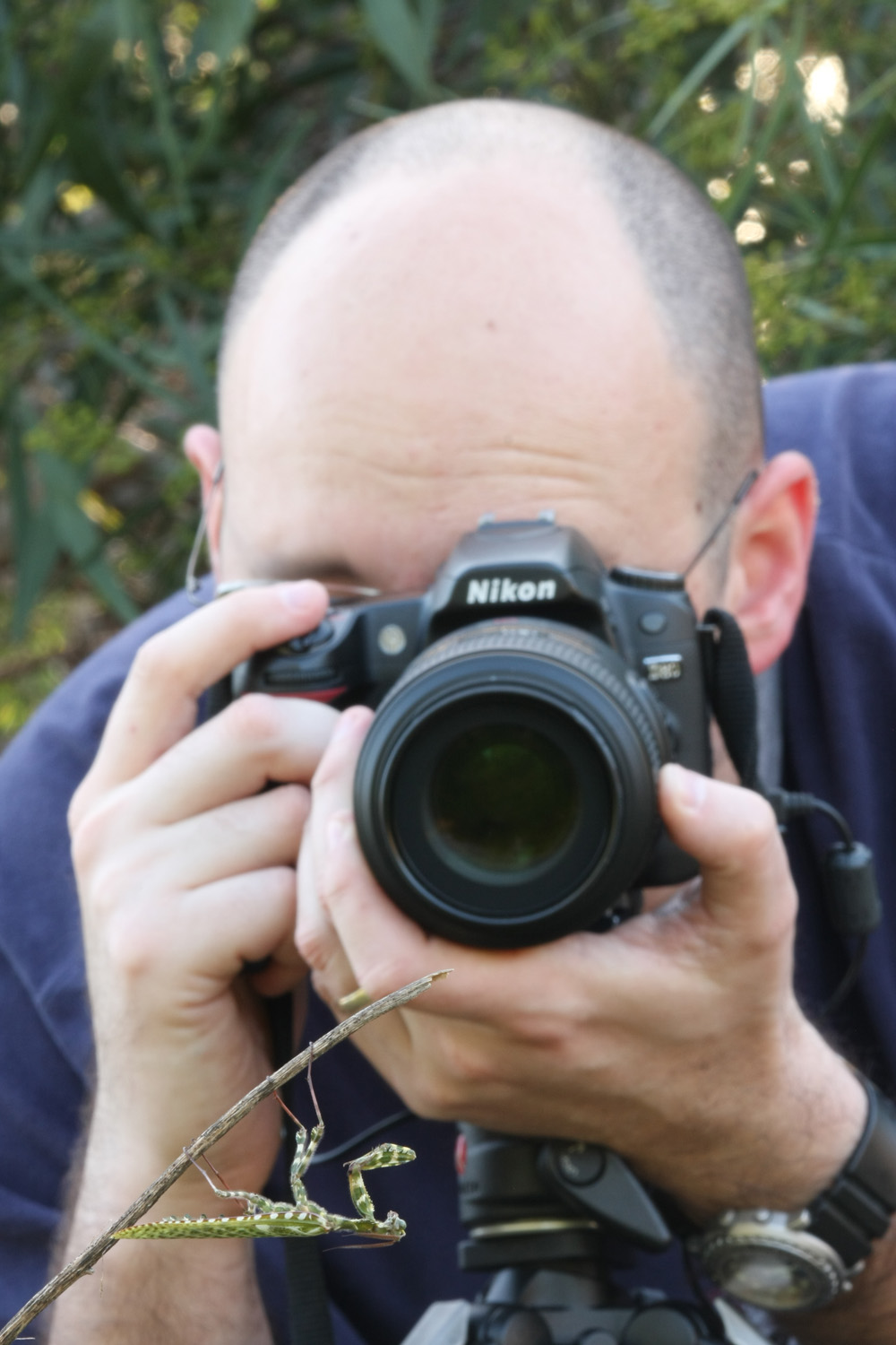 Photographer Gilad Mass shoots a praying mantis up close and personal