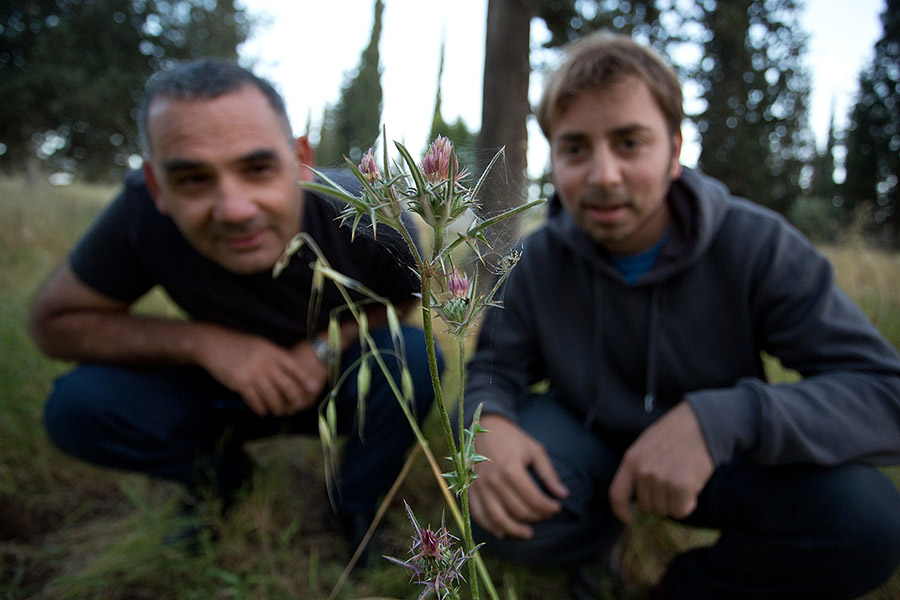 Elad and Bruno admiring two spiders we found.