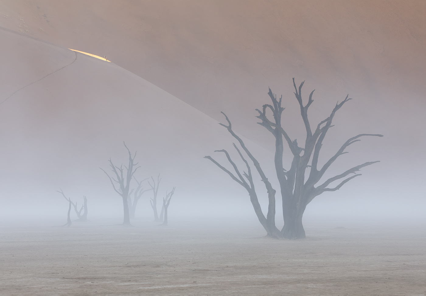 An image I took on a magical, foggy morning in Deadvlei, Namibia. Even though the conditions are very rare and beautiful, this composition is not original. Indeed, original compositions in such limited photo locations are incredibly hard to produce. I will discuss ways to overcome this below. <br>Canon EOS 5D Mark IV, Canon 70–300mm, f/13, 1/13 sec, ISO 100 <br>Deadvlei, Namibia