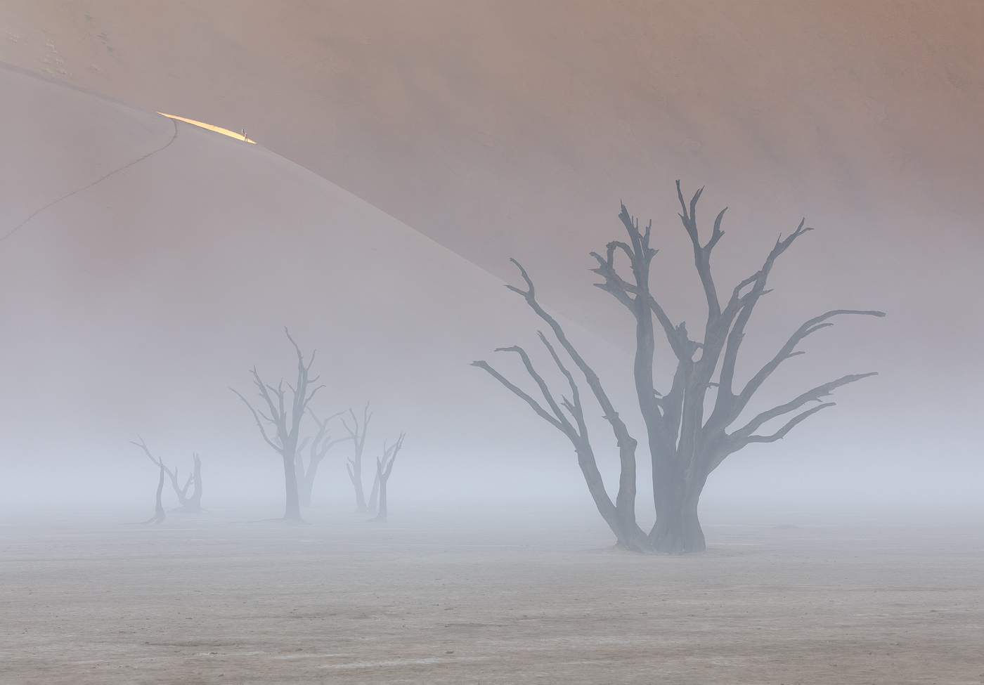 This isn't a unique composition by any means, but the heavy mist made it exceptional. Note the figures being lit by early sunlight on top of the dune to the left.