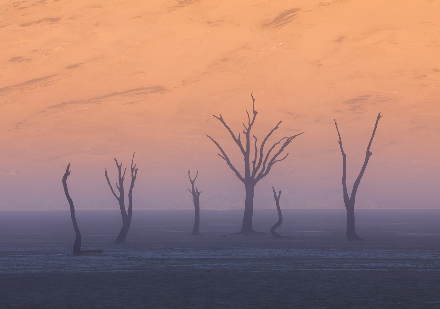 A misty twist on a well known composition. Note the dark lines on the background dune.