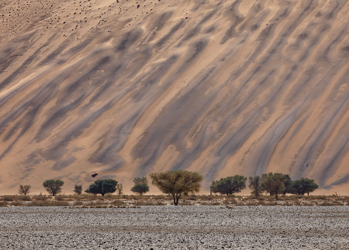 The dark lines completely transformed the red dunes.