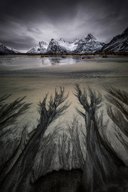 The amazing black and white sand patterns of Skagsanden Beach, Lofoten, Arctic Norway.<br>Canon EOS 5D Mark IV, Canon 11-24mm F4L  Nisi Filters 180mm ND + GND, Stacked from 4 images at 11mm, 0.8 sec, F13, ISO100