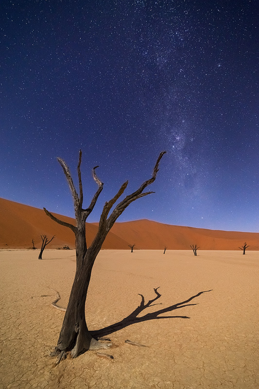 'Dark Sentinel', Deadvlei, Namibia, March 2014