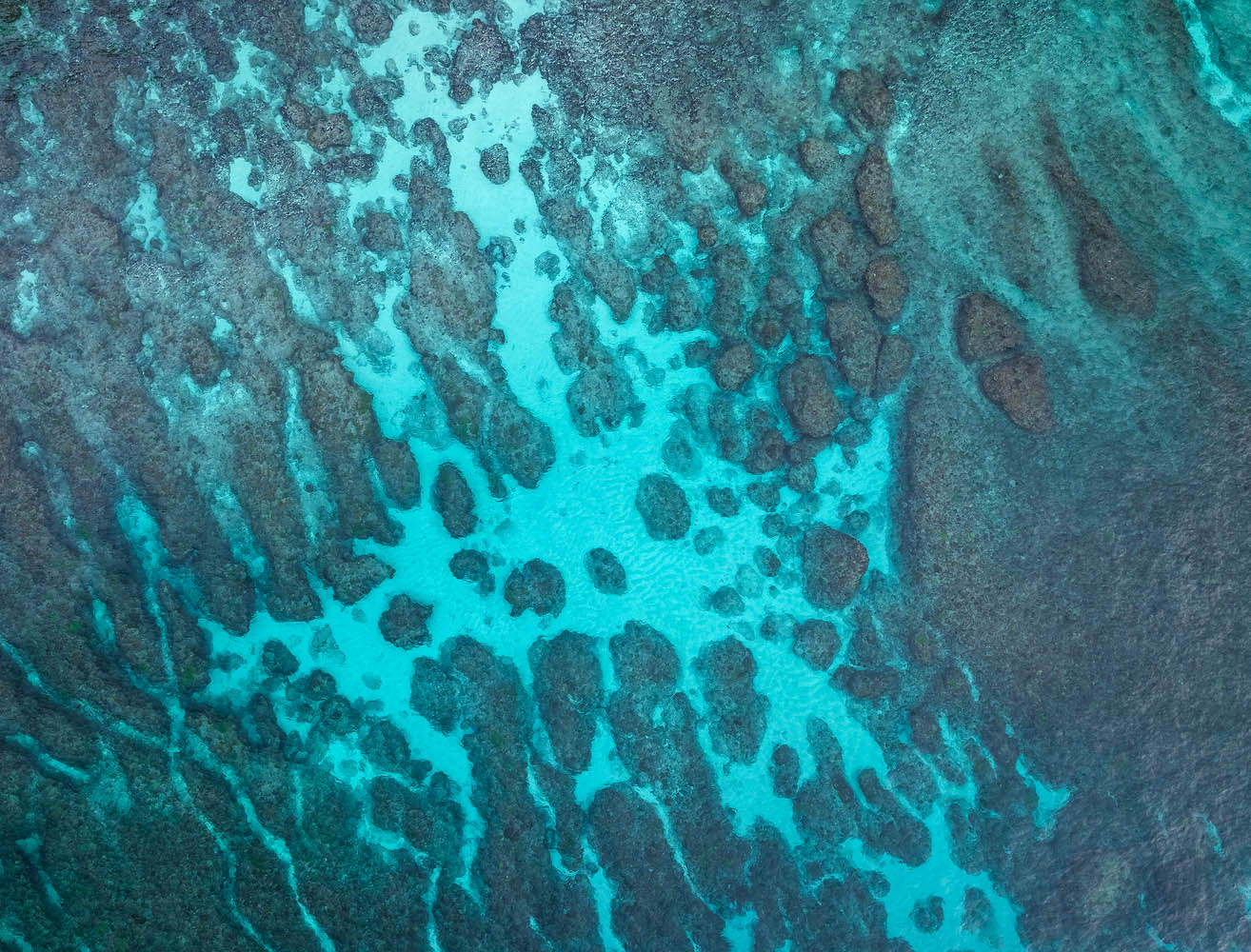 Fishbone These rock patterns at Diamond Beach reminded me of a